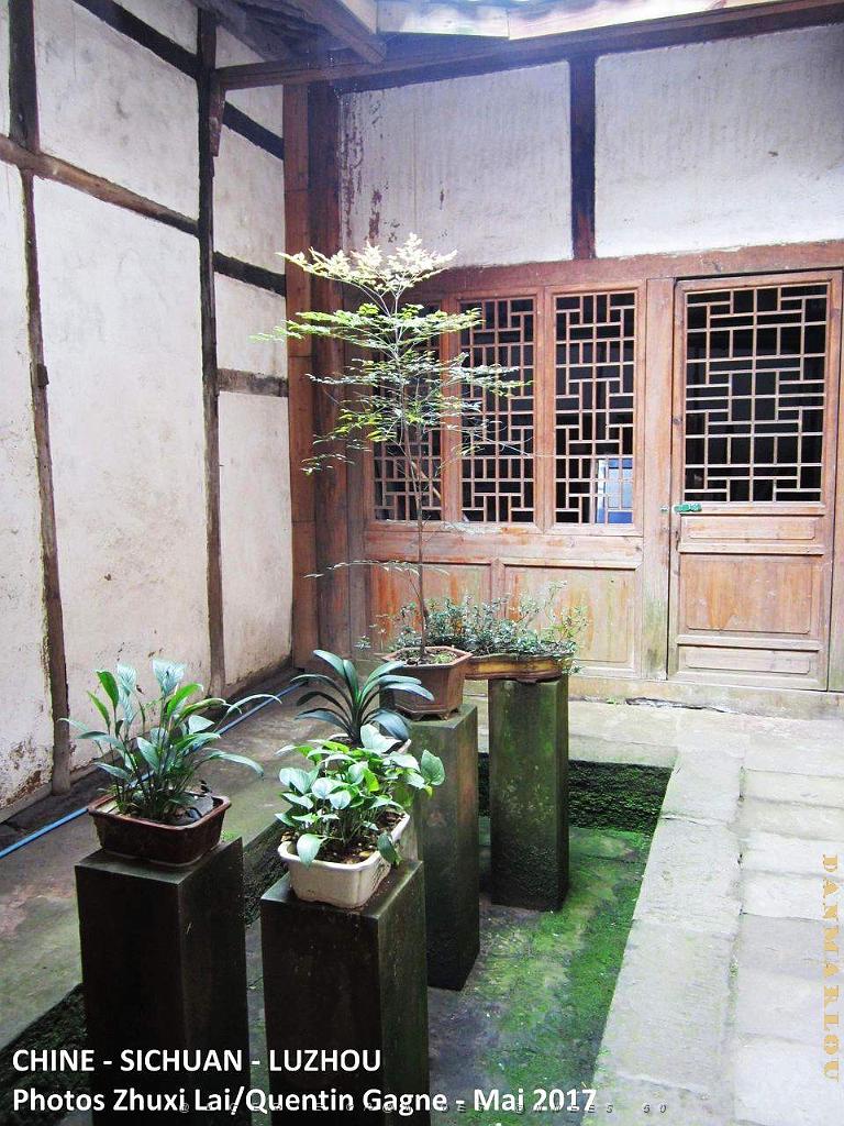 Luzhou 043.JPG